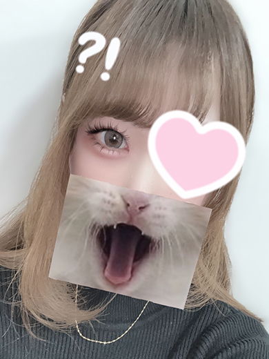 しおり